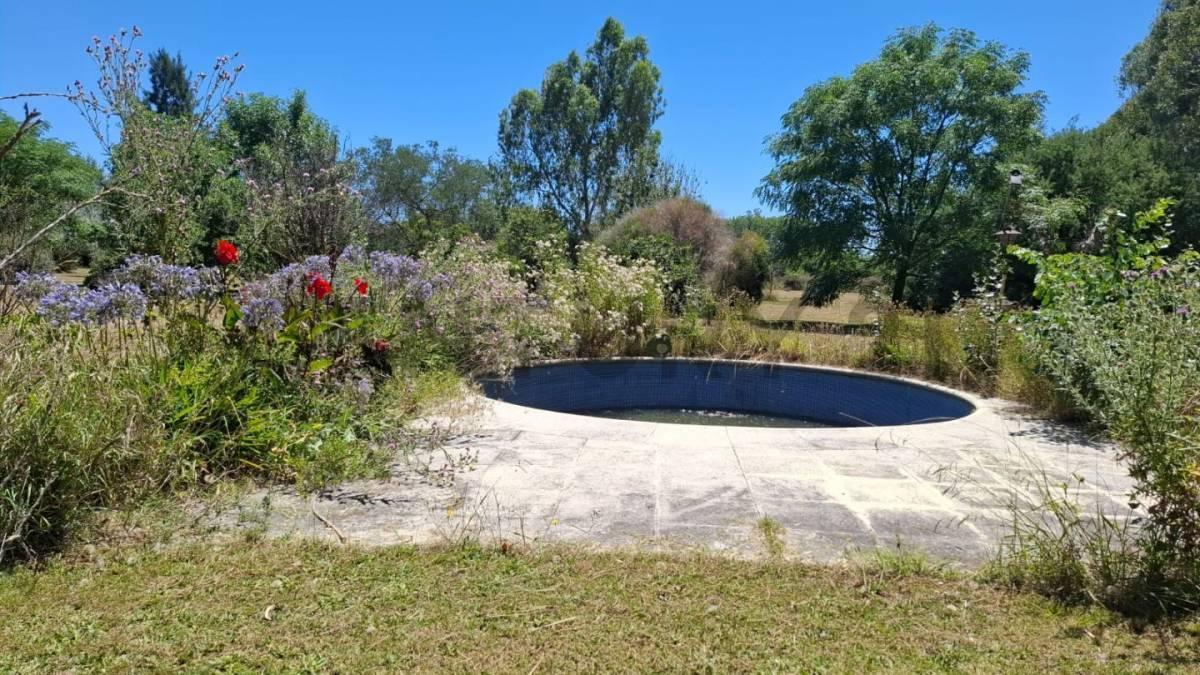 Foto de Hectareas en venta con Casa en Arturo Segui 403 y 139- Excelente, imagen 4