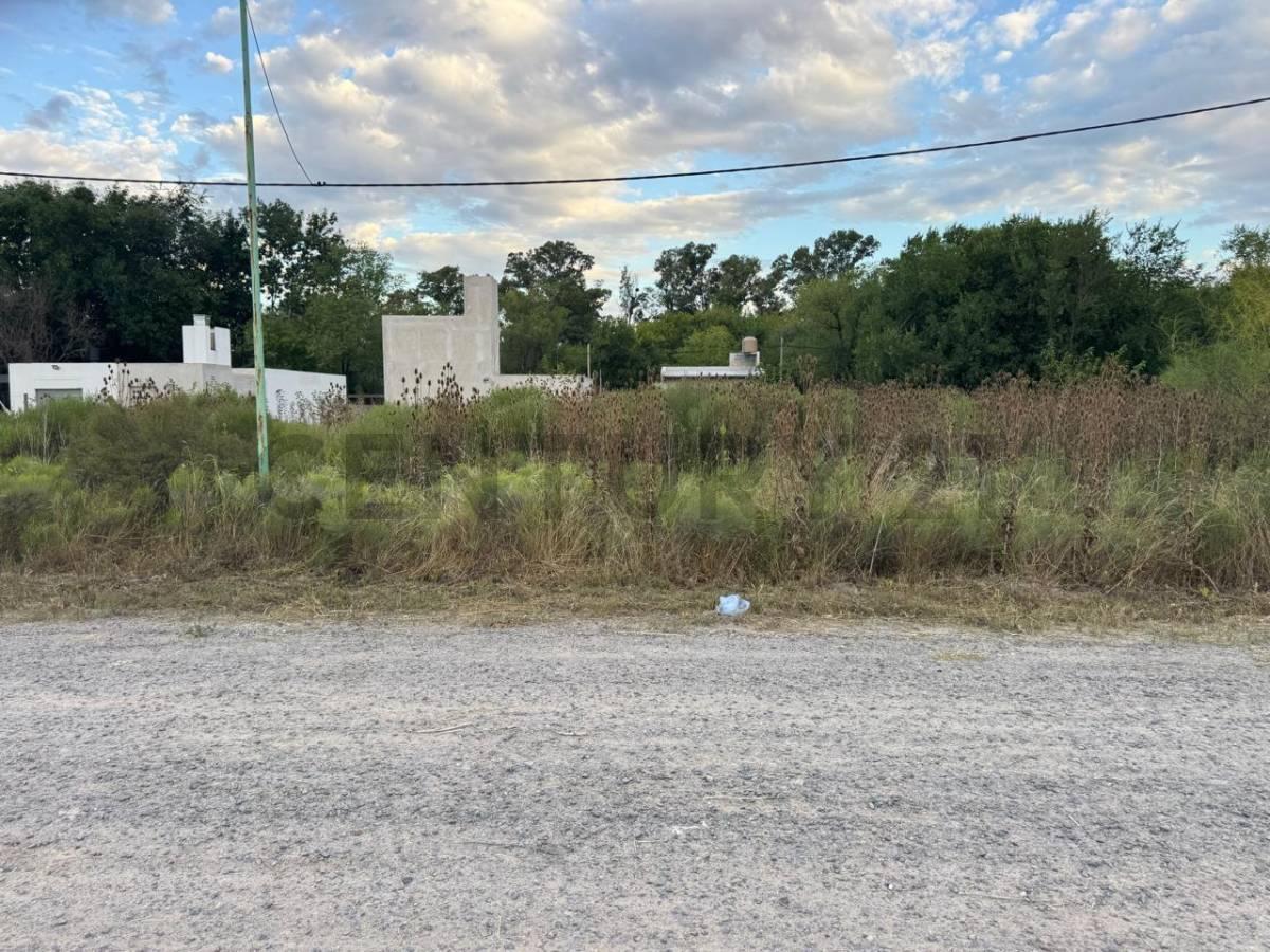 Foto de VENTA DE LOTES EN ANGEL ETCHEVERRY, imagen 3