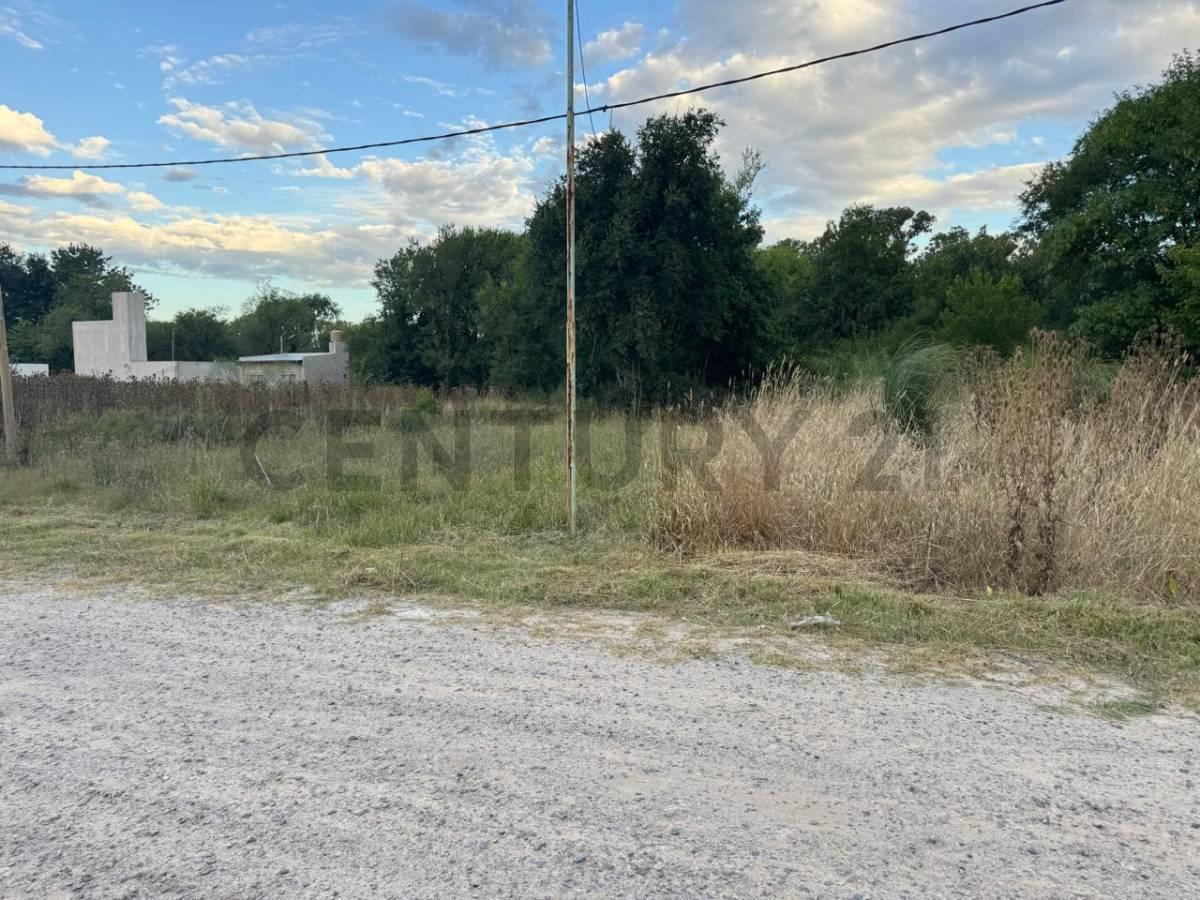 Foto de VENTA DE LOTES EN ANGEL ETCHEVERRY, imagen 4