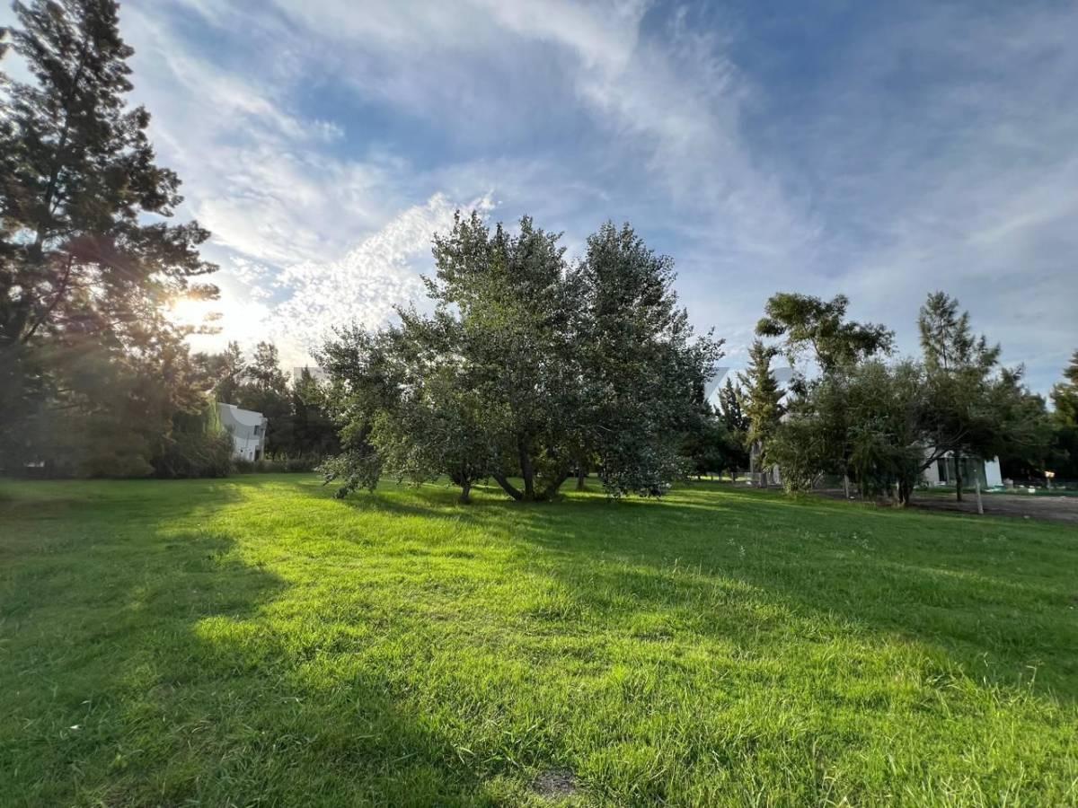 Foto de COUNTRY MIRALAGOS LOTE EN VENTA, imagen 3