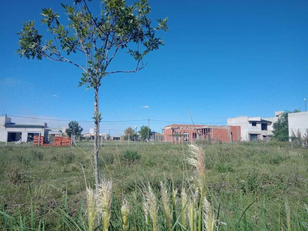 Terreno Lote en Venta en Zárate, G.B.A. Zona Norte, Argentina