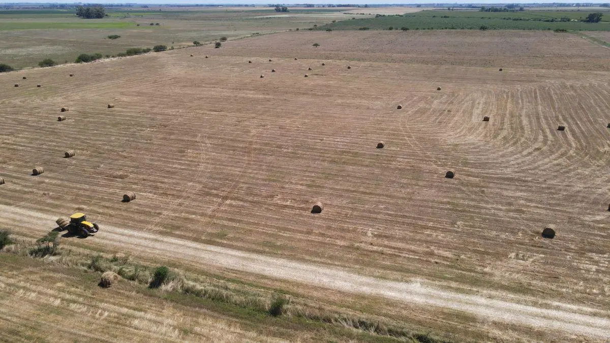 150 hectáreas agrícolas con todas las mejoras en Gualeguaychú. 2