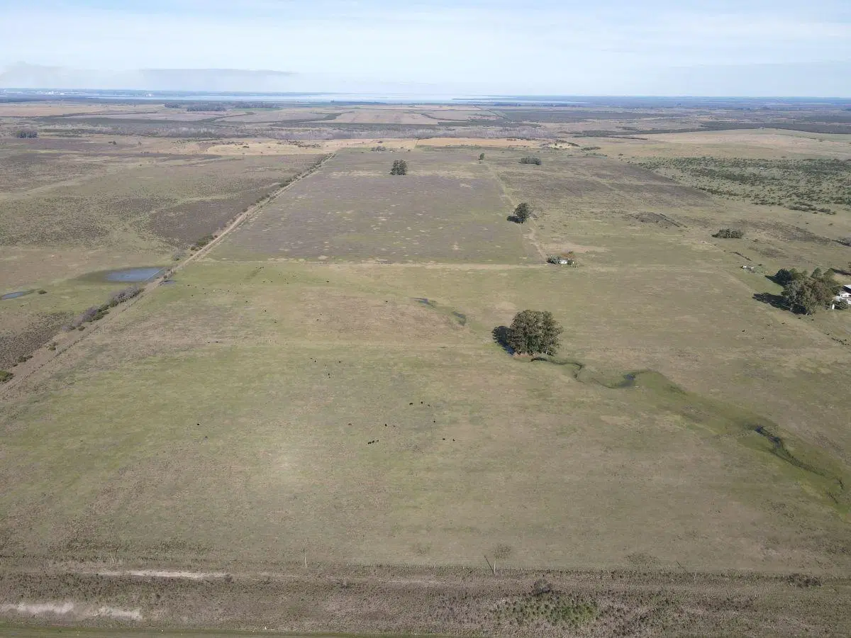 150 hectáreas agrícolas con todas las mejoras en Gualeguaychú. 3