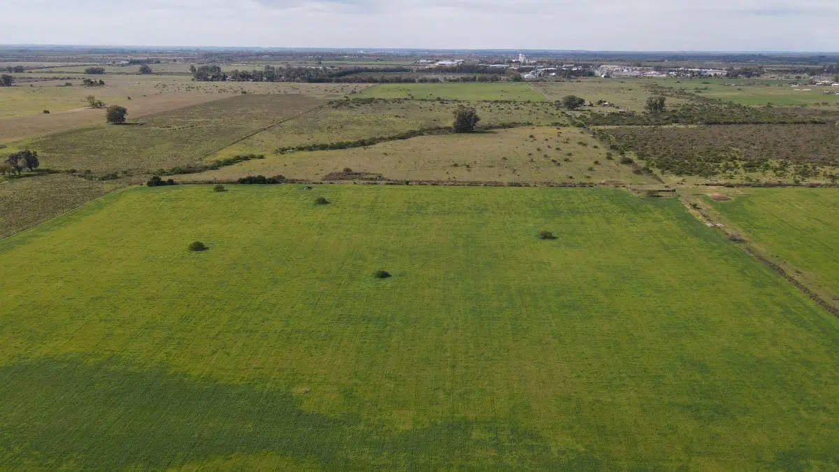 280 hectáreas agrícolas con todas las mejoras, Gualeguaychú. 1