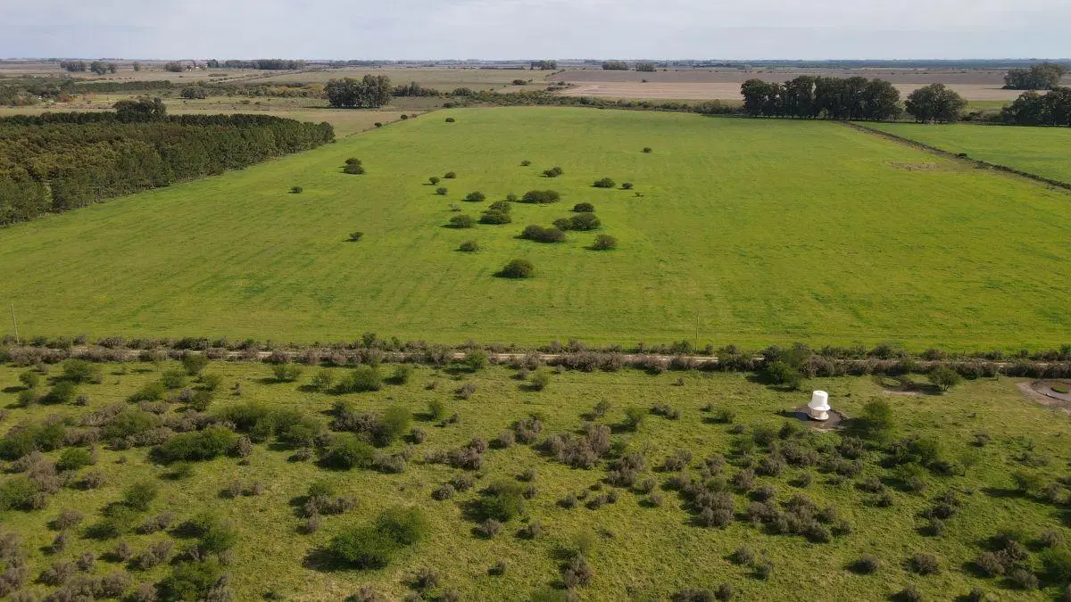280 hectáreas agrícolas con todas las mejoras, Gualeguaychú. 5