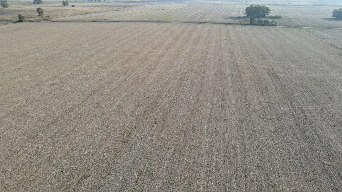 220 hectáreas campo agrícola en Gualeguaychú. 4