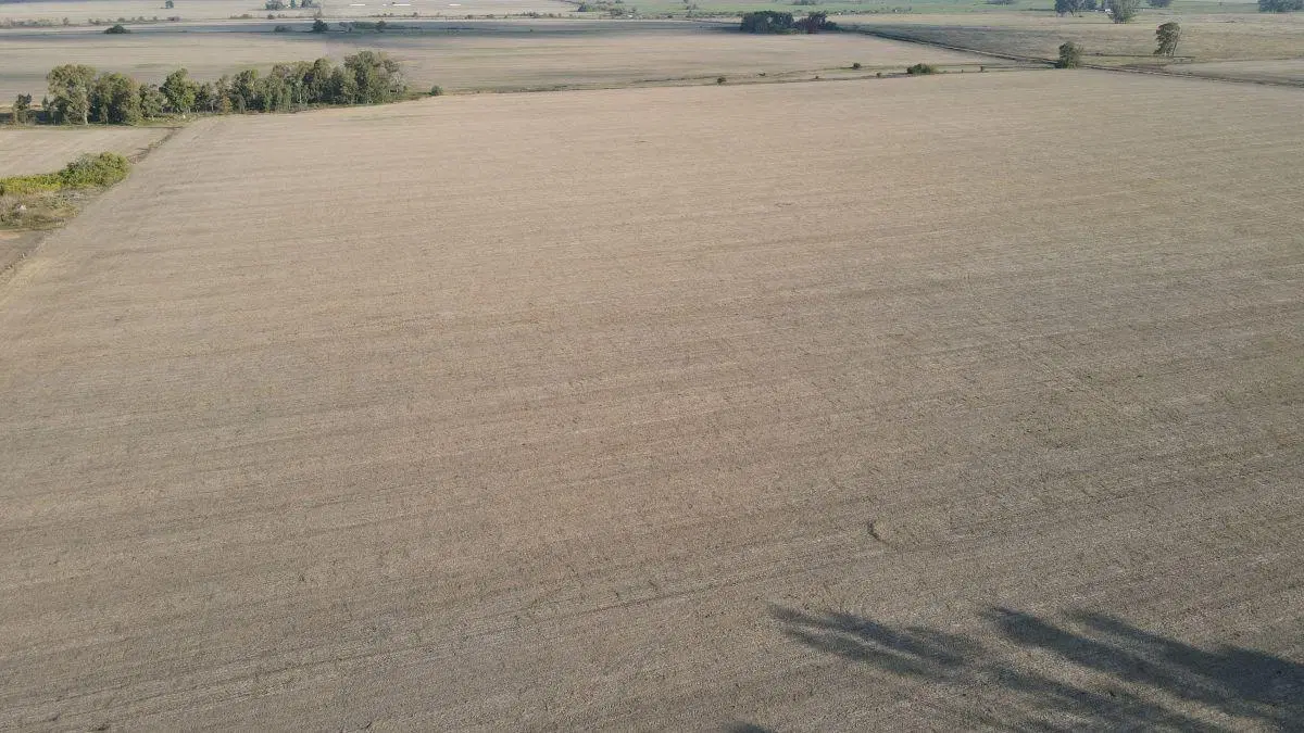 220 hectáreas campo agrícola en Gualeguaychú. 1