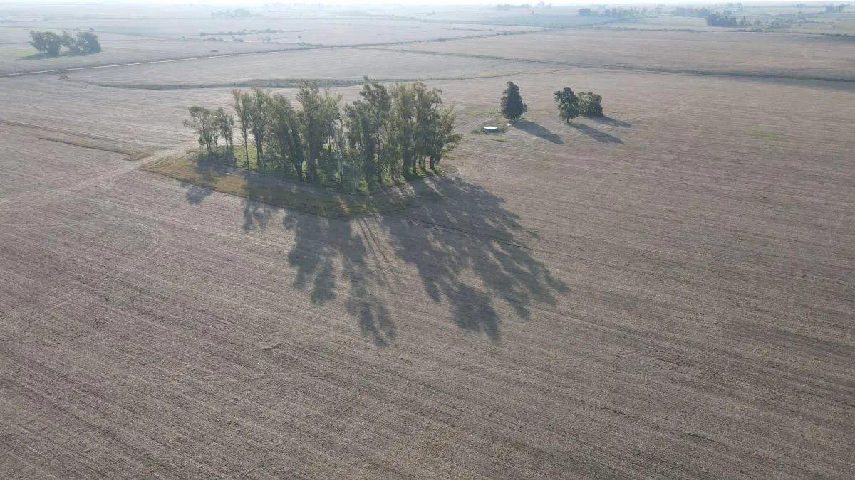 220 hectáreas campo agrícola en Gualeguaychú. 3