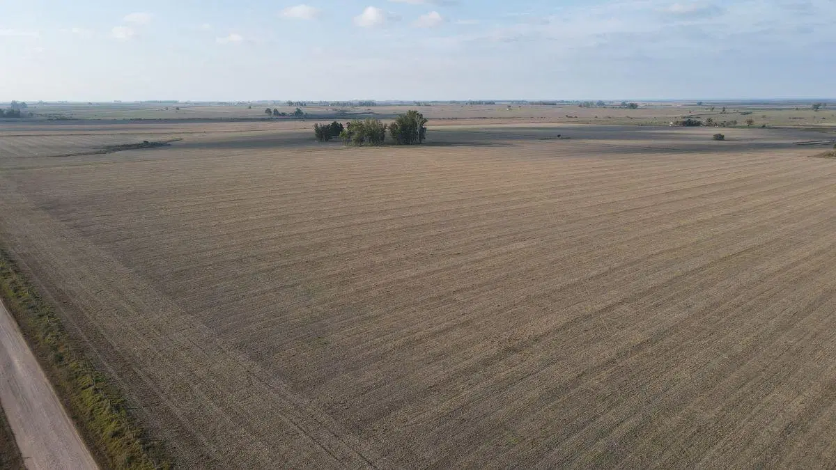 220 hectáreas campo agrícola en Gualeguaychú. 2