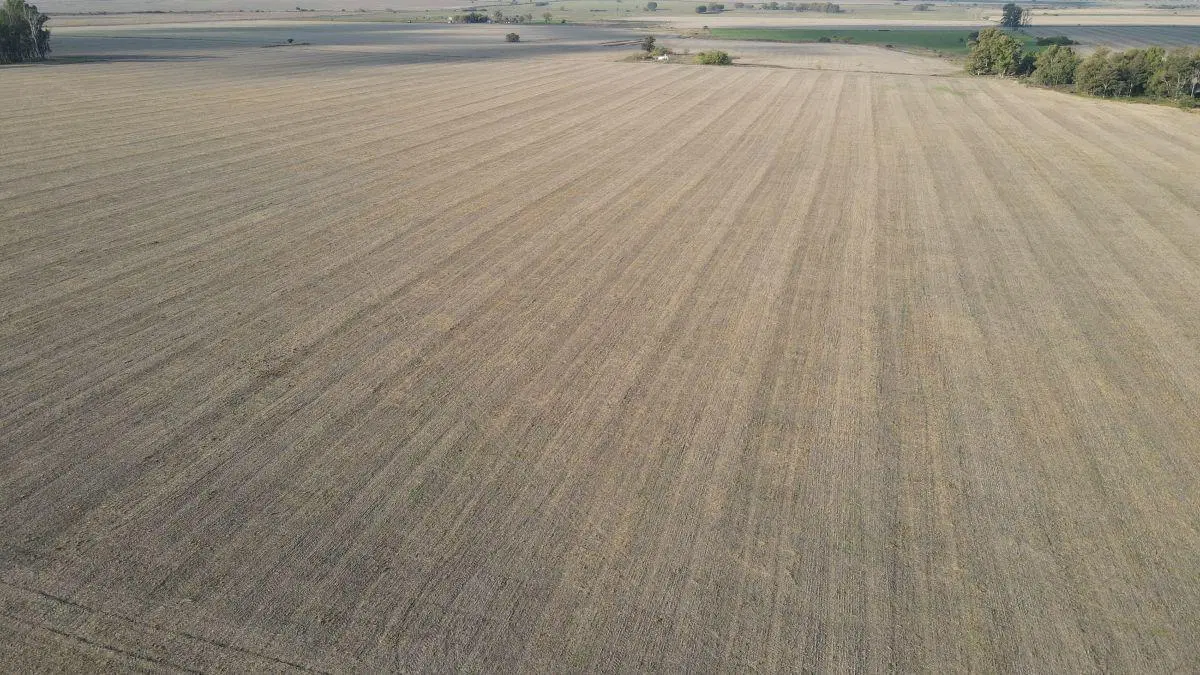 220 hectáreas campo agrícola en Gualeguaychú. 5