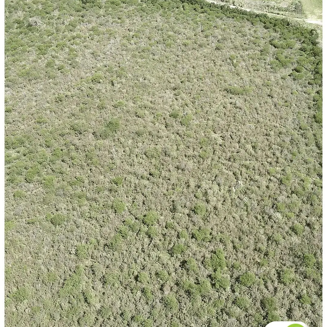 35 hectáreas frente al Parque Industrial Gualeguaychú 4