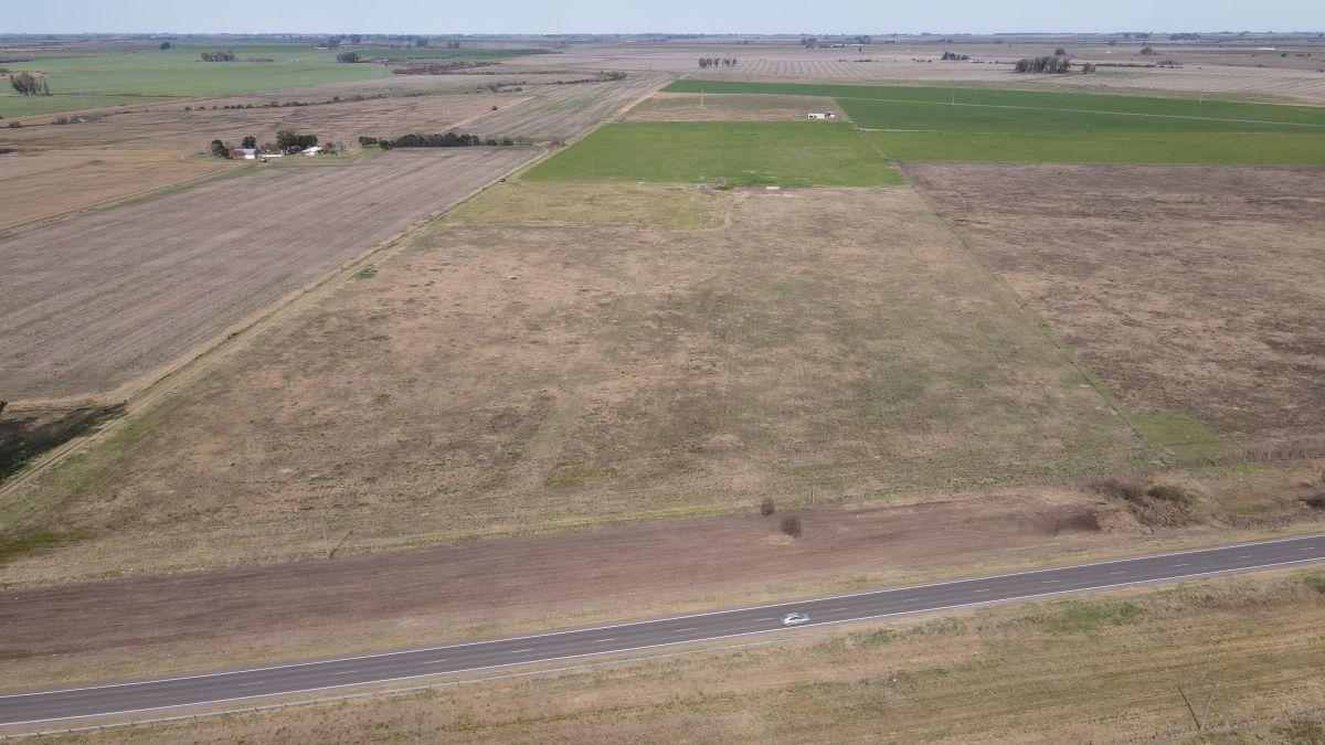 Foto de 10 hectáreas agrícolas a 500 metros de Ruta 16, Gualeguaychú., imagen 3