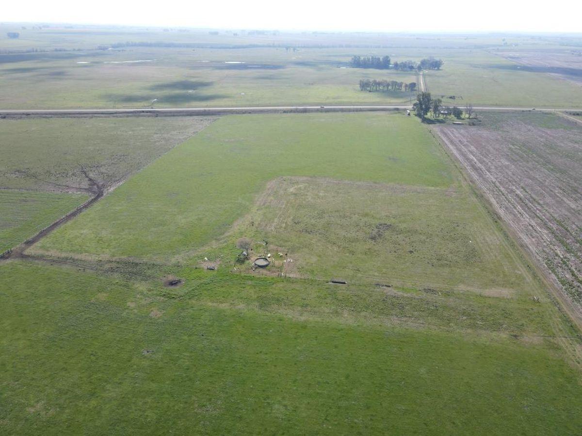 Foto de 10 hectáreas agrícolas a 500 metros de Ruta 16, Gualeguaychú., imagen 4