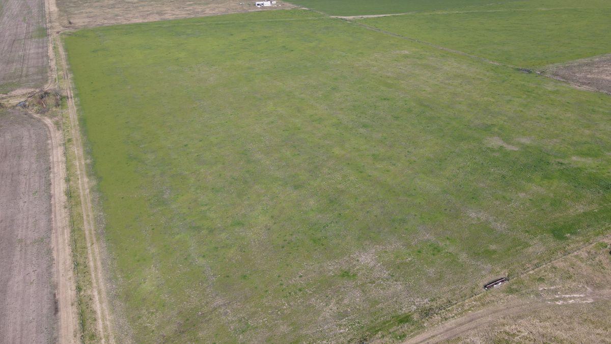 Foto de 10 hectáreas agrícolas a 500 metros de Ruta 16, Gualeguaychú., imagen 1