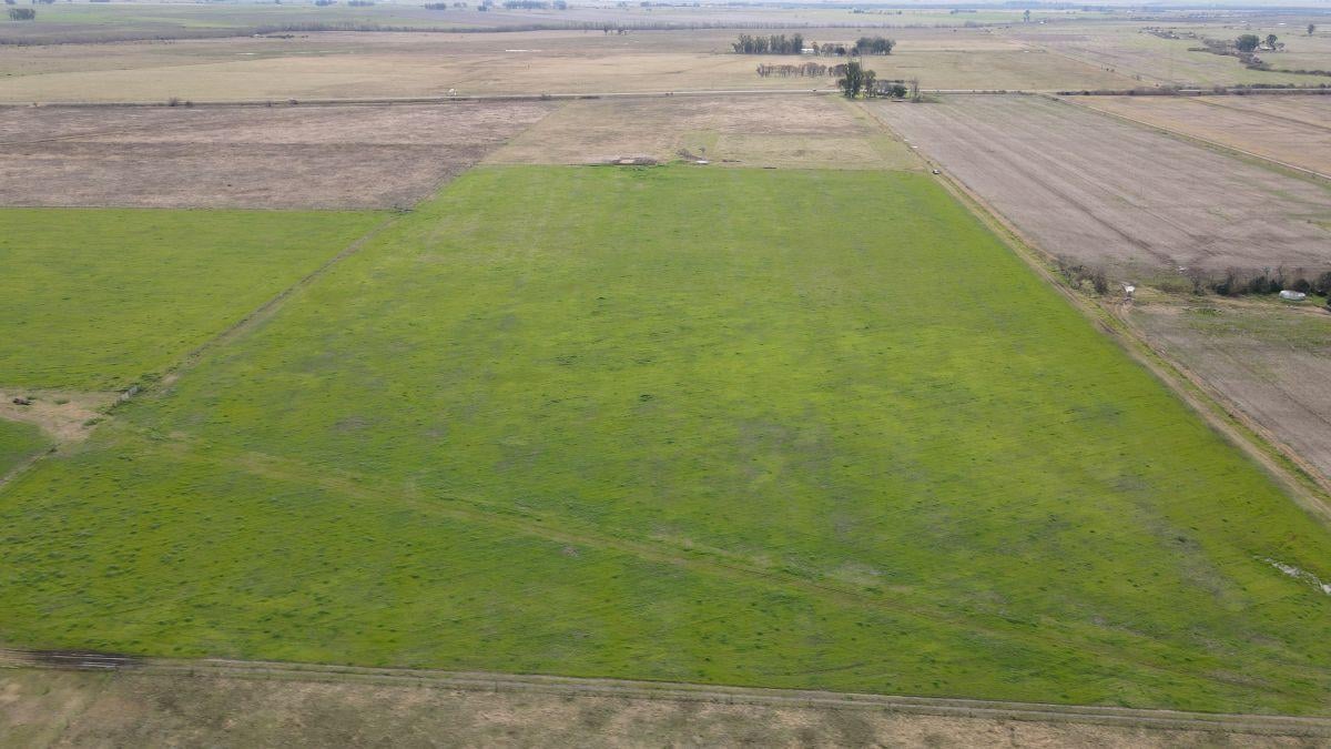 Foto de 10 hectáreas agrícolas a 500 metros de Ruta 16, Gualeguaychú., imagen 2