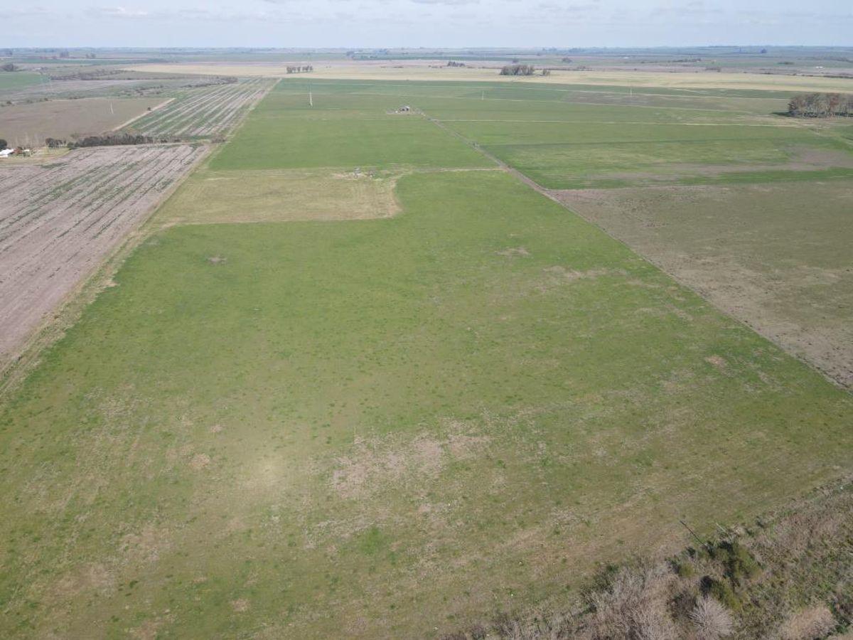 Foto de 10 hectáreas agrícolas a 500 metros de Ruta 16, Gualeguaychú., imagen 5