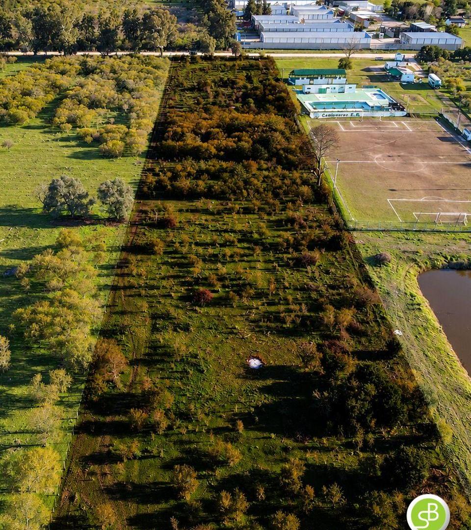 Foto de Chacra en venta 3 Hectáreas ideal proyecto, Gualeguaychú., imagen 2