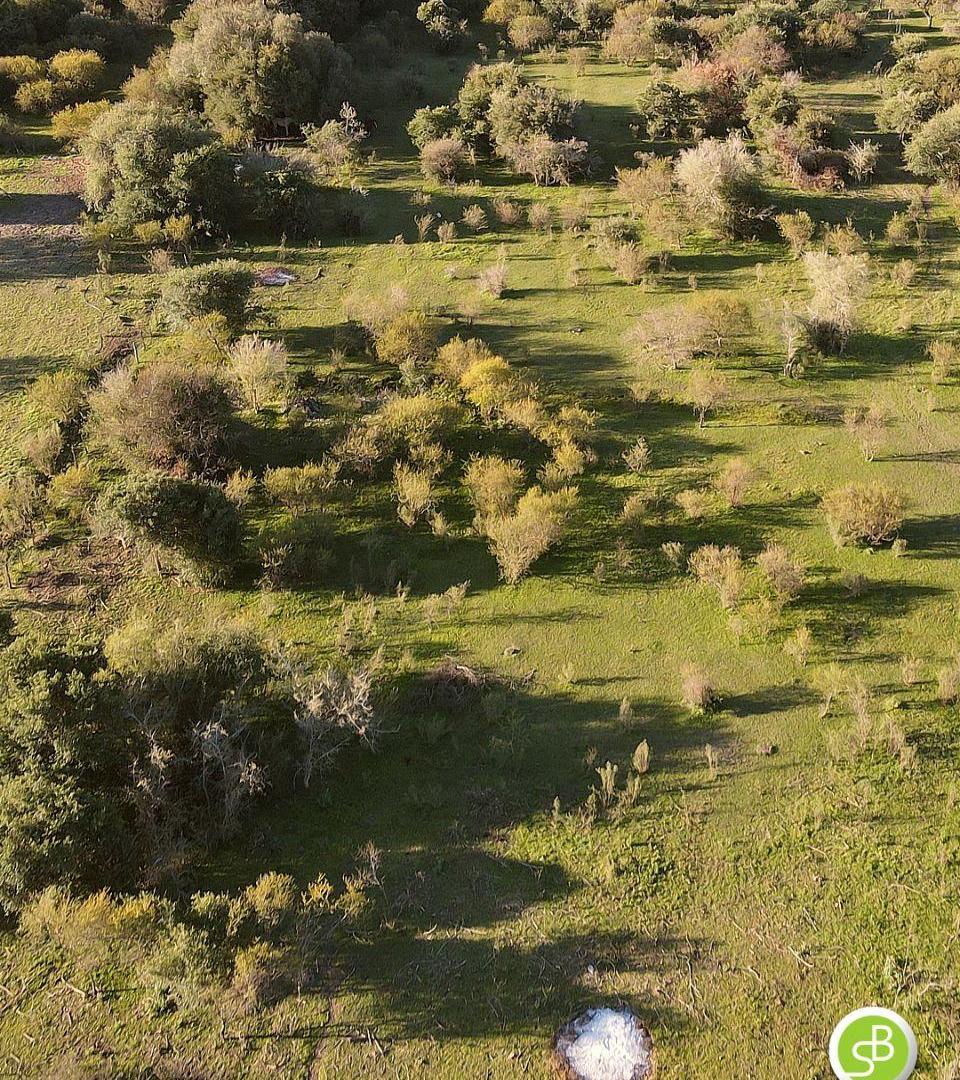 Foto de Chacra en venta 3 Hectáreas ideal proyecto, Gualeguaychú., imagen 5