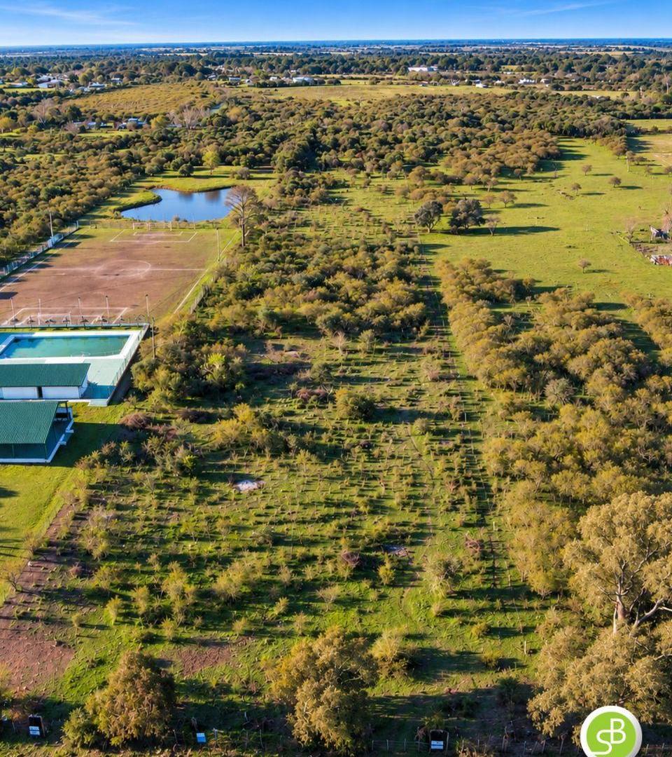 Foto de Chacra en venta 3 Hectáreas ideal proyecto, Gualeguaychú., imagen 4
