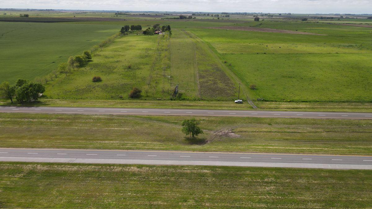 Foto de 65 hectáreas agrícolas sobre Ruta 14, Perdices - Gualeguaychú., imagen 3