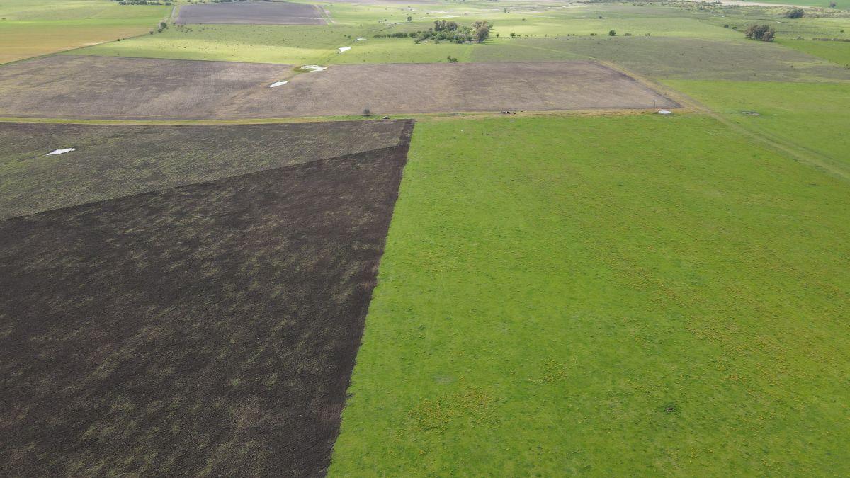 Foto de 65 hectáreas agrícolas sobre Ruta 14, Perdices - Gualeguaychú., imagen 4