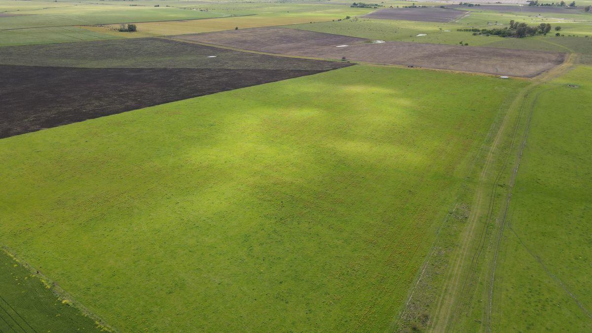 Foto de 65 hectáreas agrícolas sobre Ruta 14, Perdices - Gualeguaychú., imagen 1