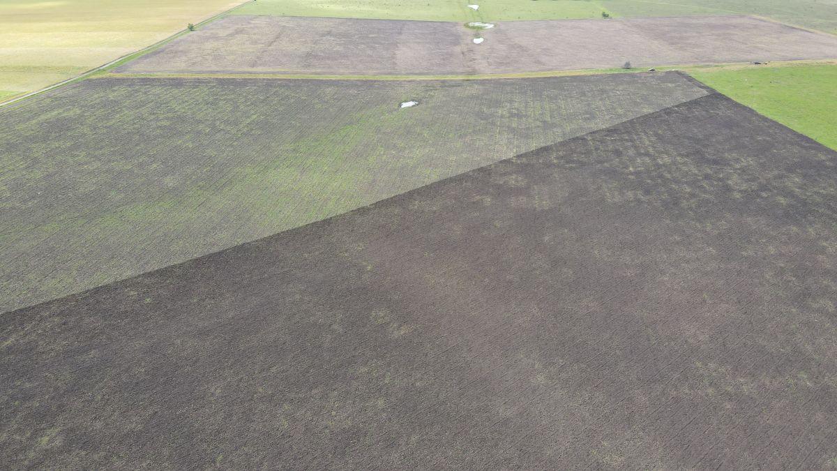 Foto de 65 hectáreas agrícolas sobre Ruta 14, Perdices - Gualeguaychú., imagen 5