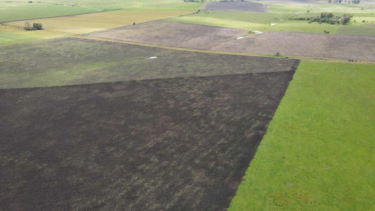 Foto de 65 hectáreas agrícolas sobre Ruta 14, Perdices - Gualeguaychú., imagen 2