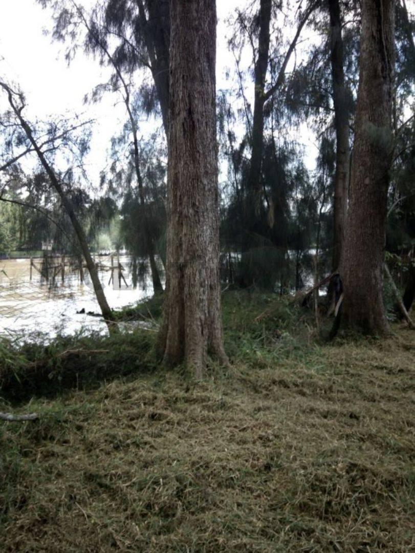 lote de 30000 M²en Venta Rio Lujan y Canal Arias este Hermoso Lote Cuenta Con. 2