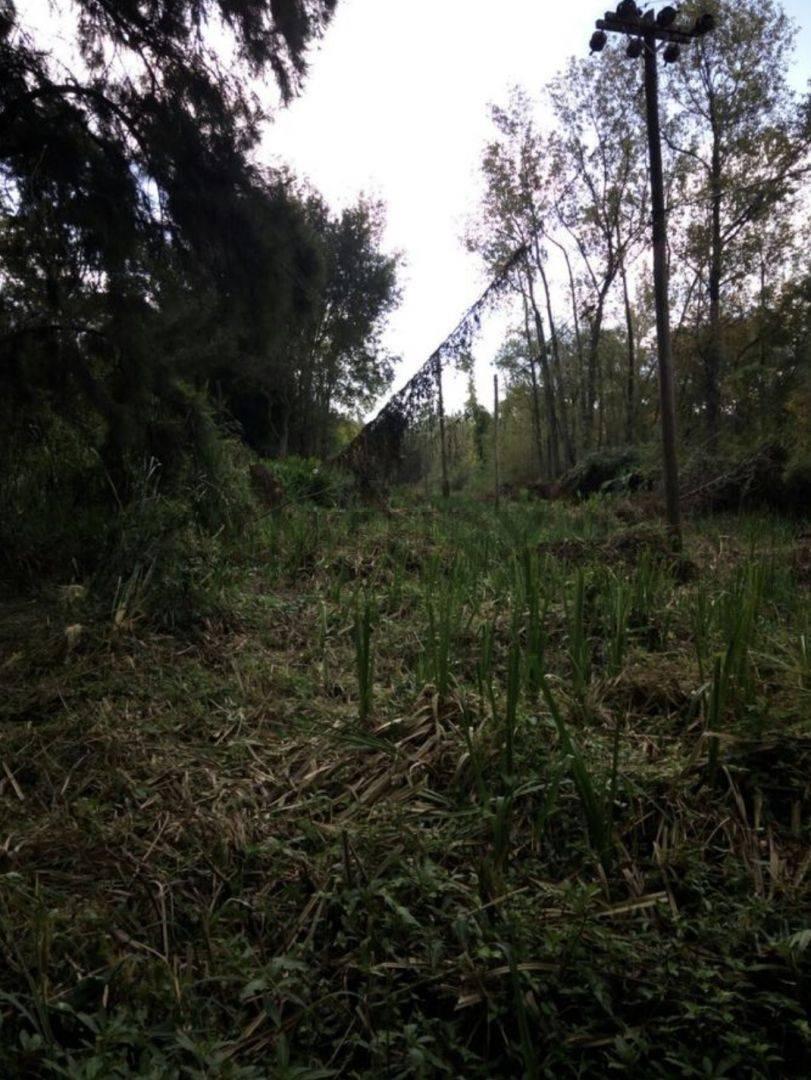 lote de 30000 M²en Venta Rio Lujan y Canal Arias este Hermoso Lote Cuenta Con. 1