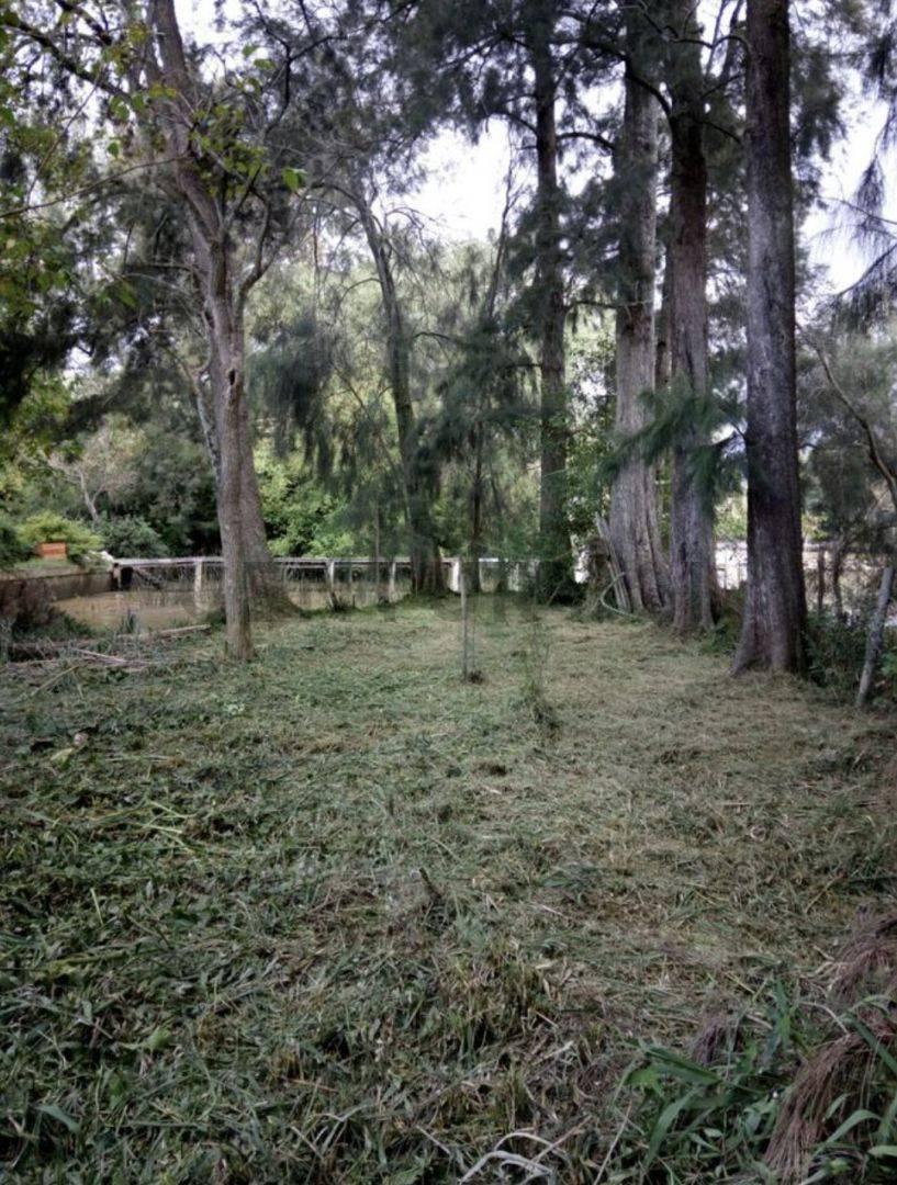 Foto de LOTE DE 30000 M2EN VENTA RIO LUJAN Y CANAL ARIAS, imagen 3