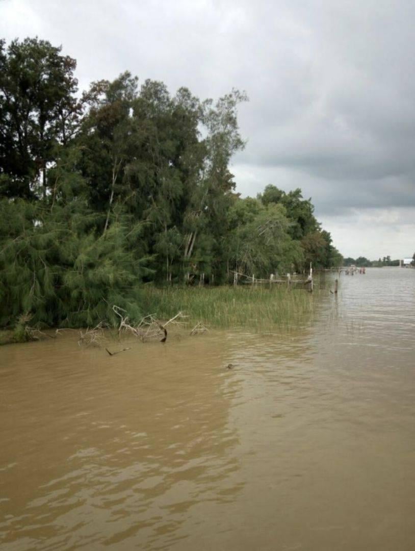 Foto de LOTE DE 30000 M2EN VENTA RIO LUJAN Y CANAL ARIAS, imagen 1