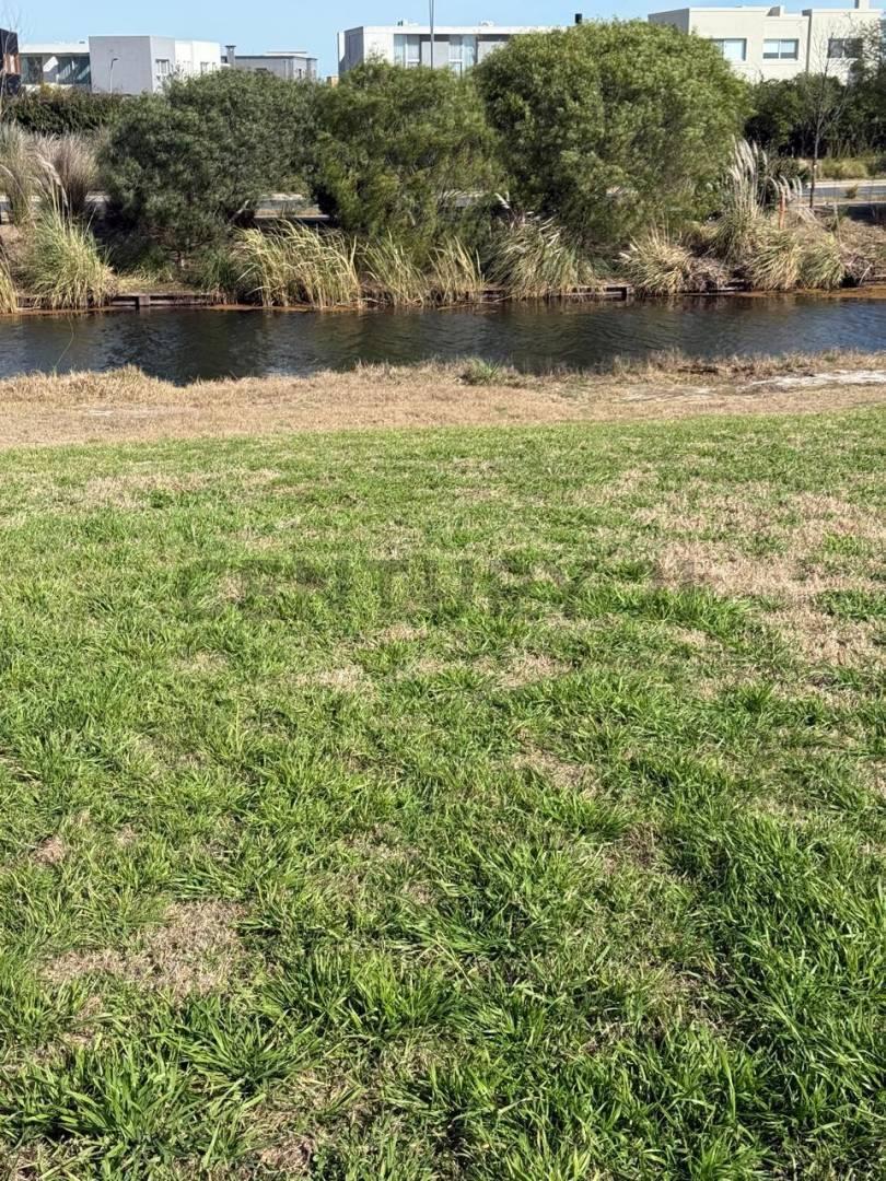 Foto de Lote en venta a la laguna en barrio Marinas, Puertos del Lago, imagen 4