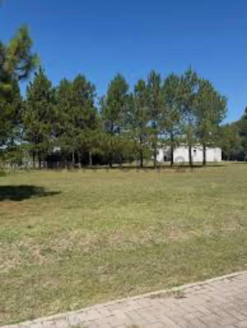Foto de Venta Lote terreno en barrio cerrado el Cardal de los Cardales 3, imagen 4