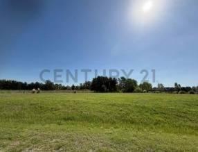 Foto de LOTE EN VENTA – ESTANCIA VILLA MARÍA | BARRIO ARROYITO OPORTUNIDAD DE, imagen 5