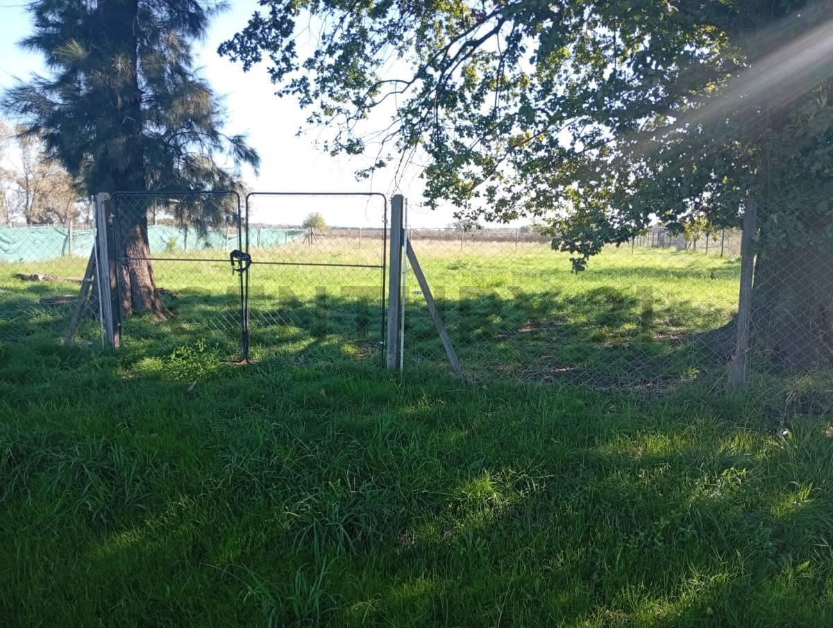 Foto de Lotes 1100m2 ideal quintas de fin de semana VENTA General Rodríguez, imagen 3