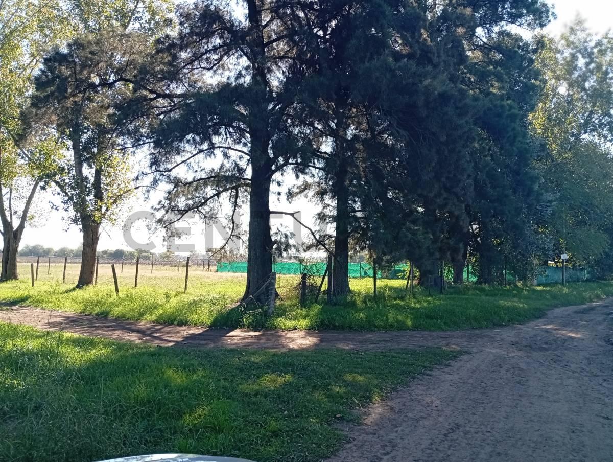 Foto de Lotes 1100m2 ideal quintas de fin de semana VENTA General Rodríguez, imagen 5