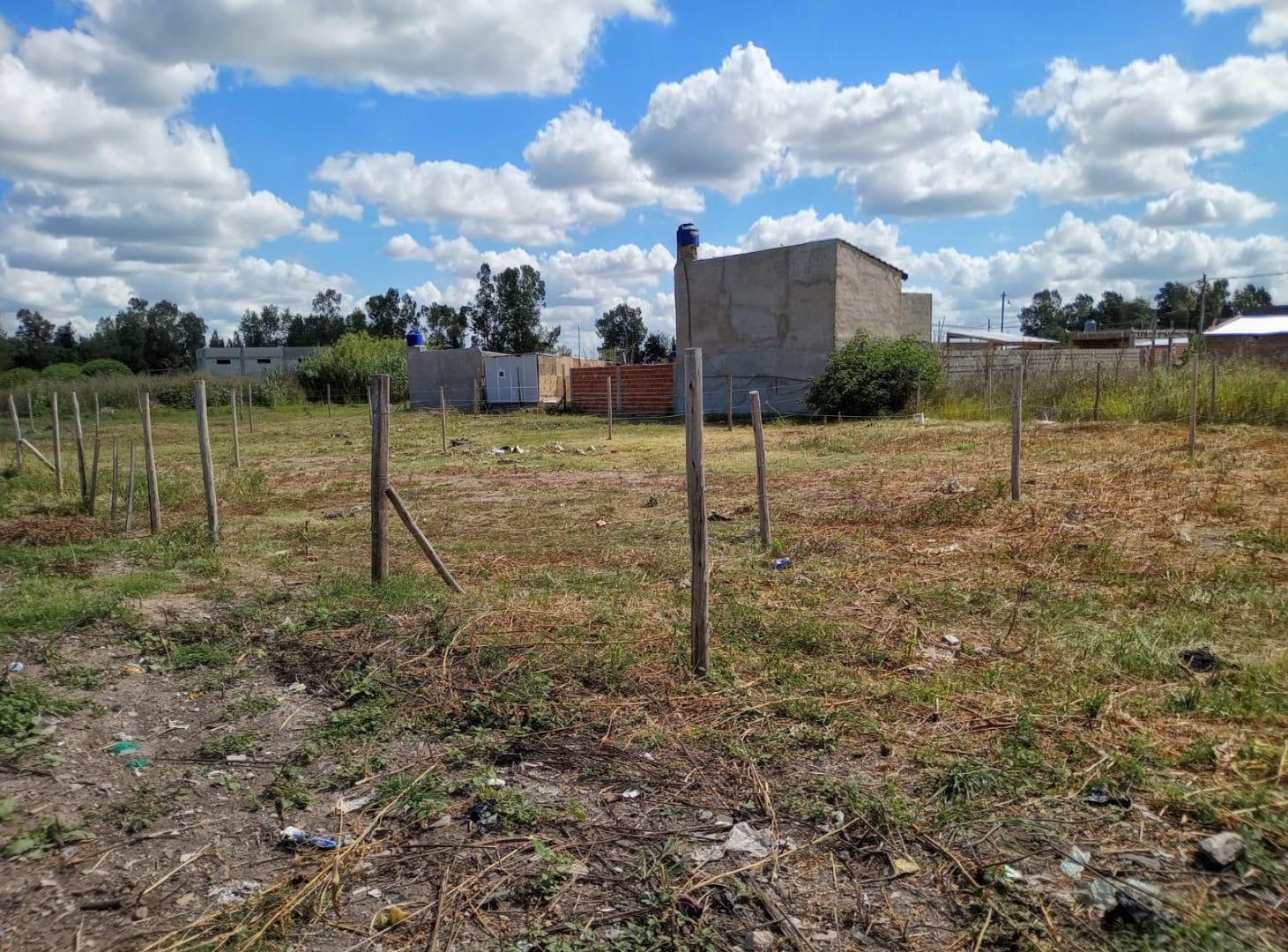 Foto de Lotes de Contado o cuotas, en San Carlos, Gral Rodriguez, imagen 1