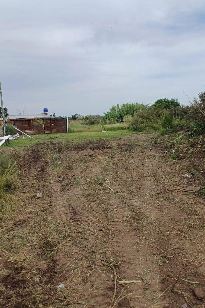 Foto de Lotes de Contado o cuotas, en San Carlos, Gral Rodriguez, imagen 4