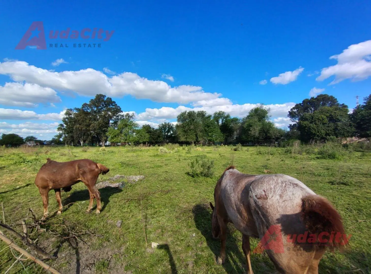 Terreno 4 hectareas en Presidente Derqui 3