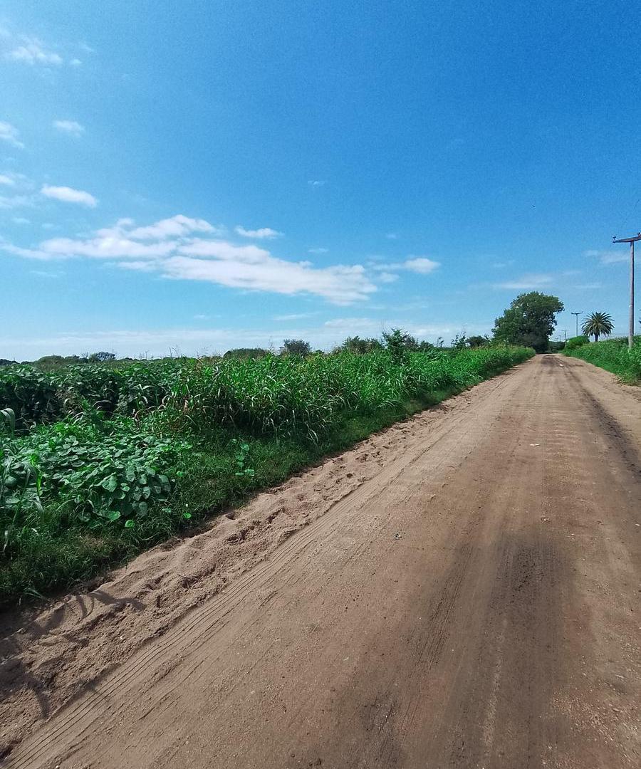 Foto de Campo de 6 has en venta en Colonia Caroya, imagen 4