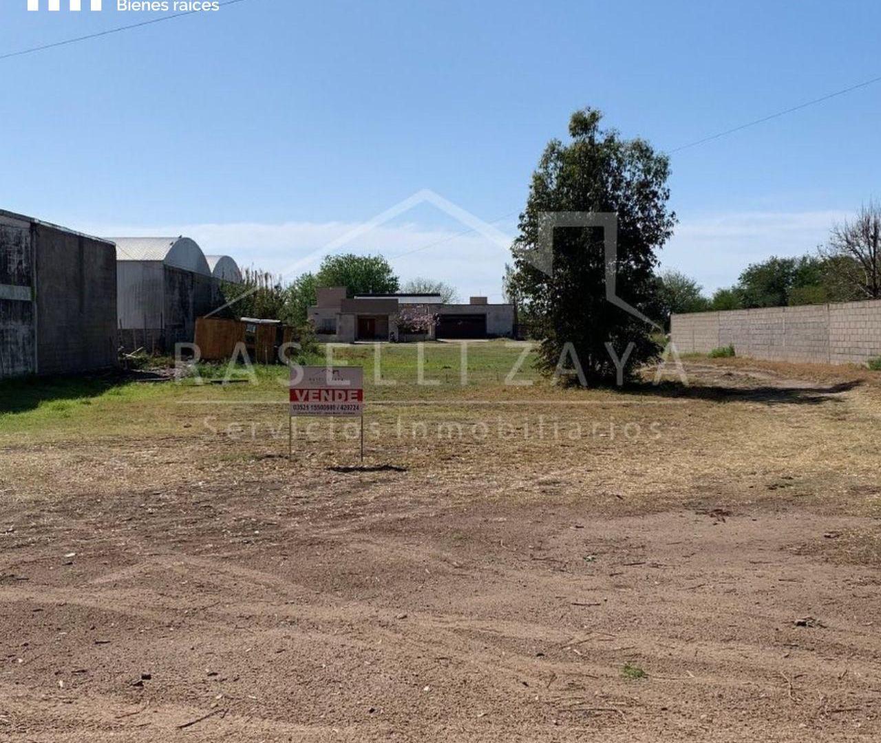 Foto de Terreno - Sinsacate, imagen 3