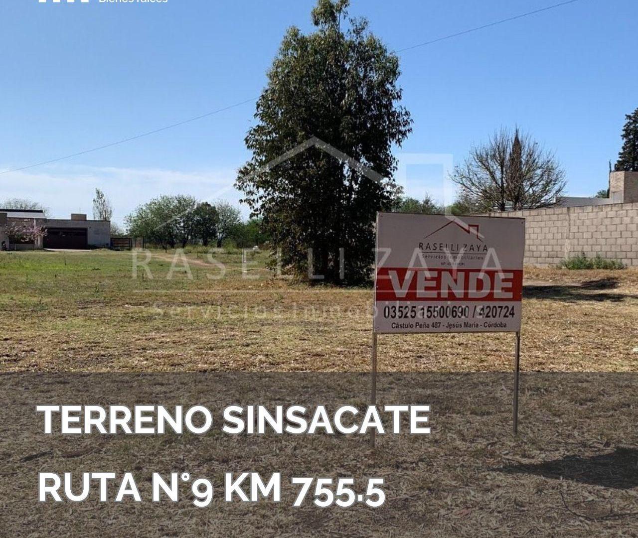 Terreno - Sinsacate