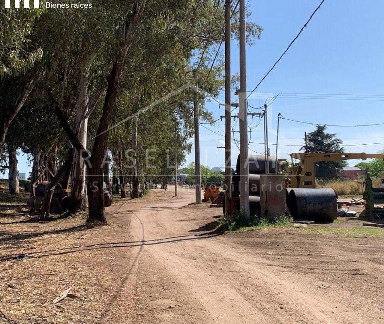 Foto de Terreno - Sinsacate, imagen 2