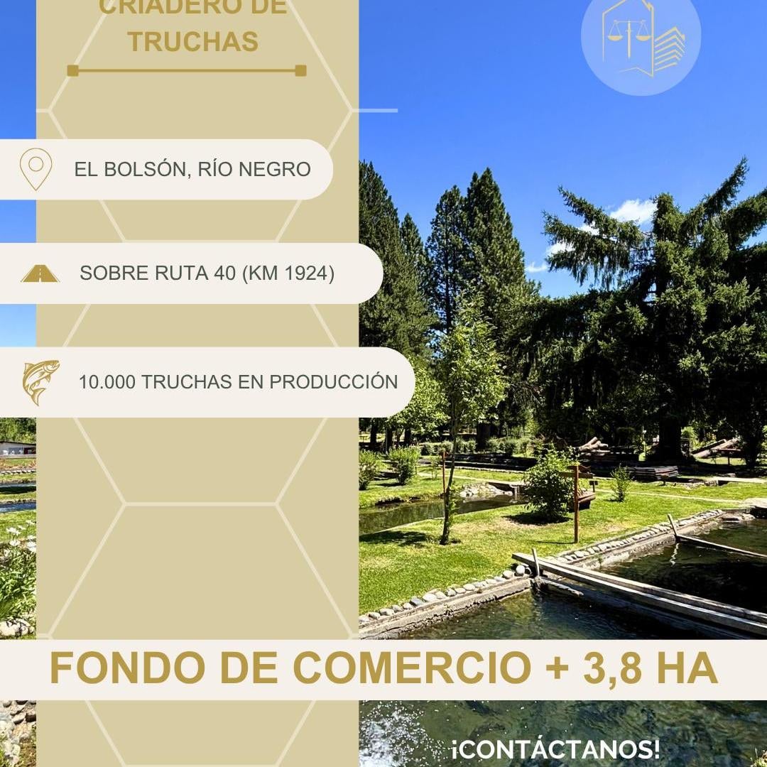 Terreno de 3800 m² en venta. CRIADERO DE TRUCHAS EN FUNCIONAMIENTO + FONDO DE COMERCIO