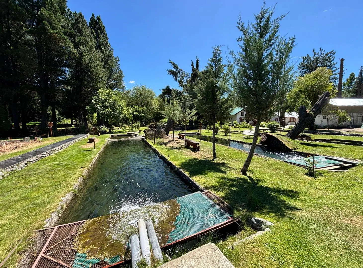 VENTA CRIADERO DE TRUCHAS RIO NEGRO EN EL BOLSÓN CON FONDO DE COMERCIO 3