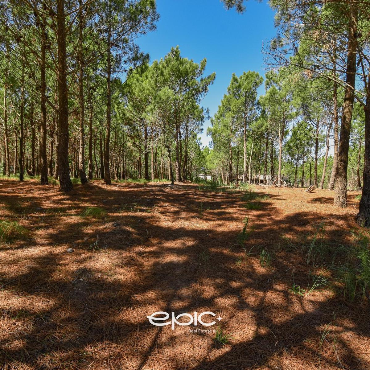 Venta Terreno en Marítimo IV Costa Esmeralda 1
