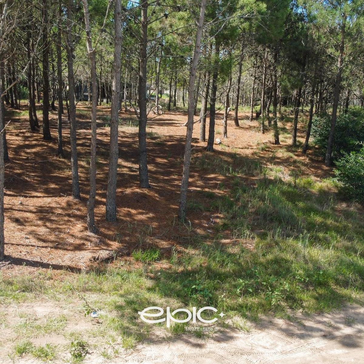 Venta Terreno en Marítimo IV Costa Esmeralda 2