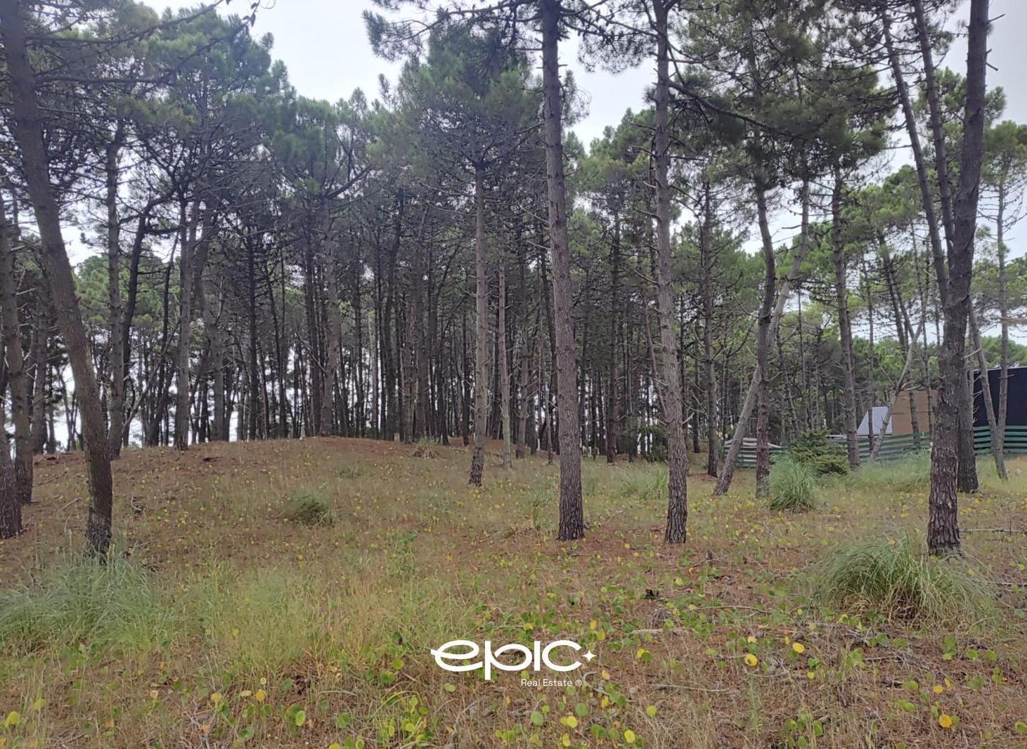 Terreno en venta en Pioneros Pinamar