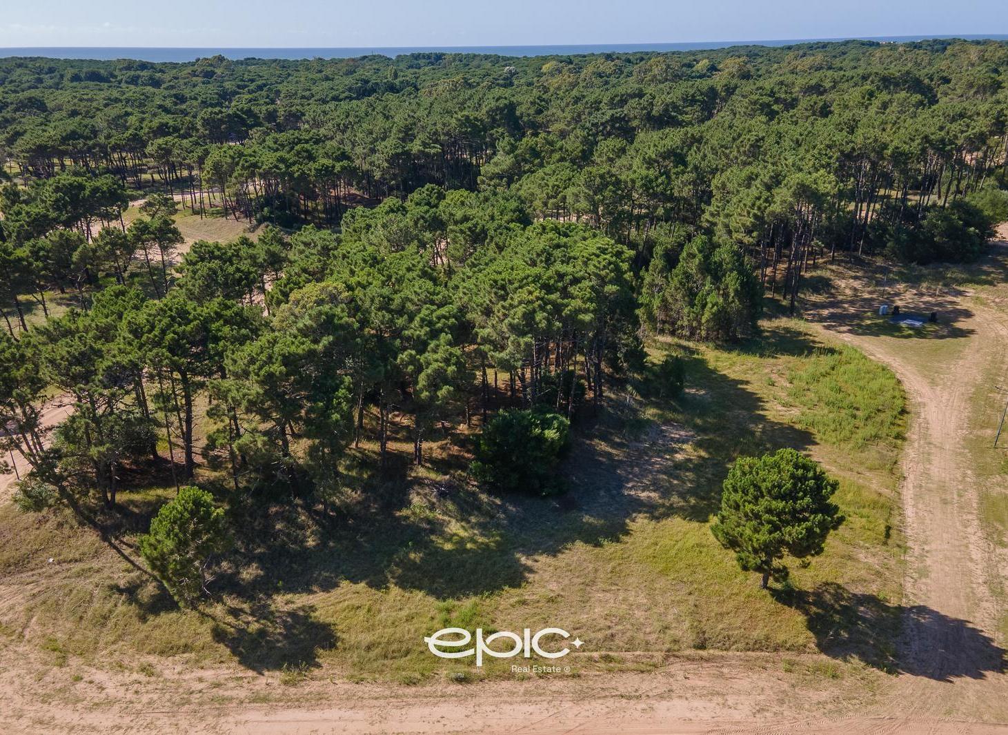 Terreno en Pinamar